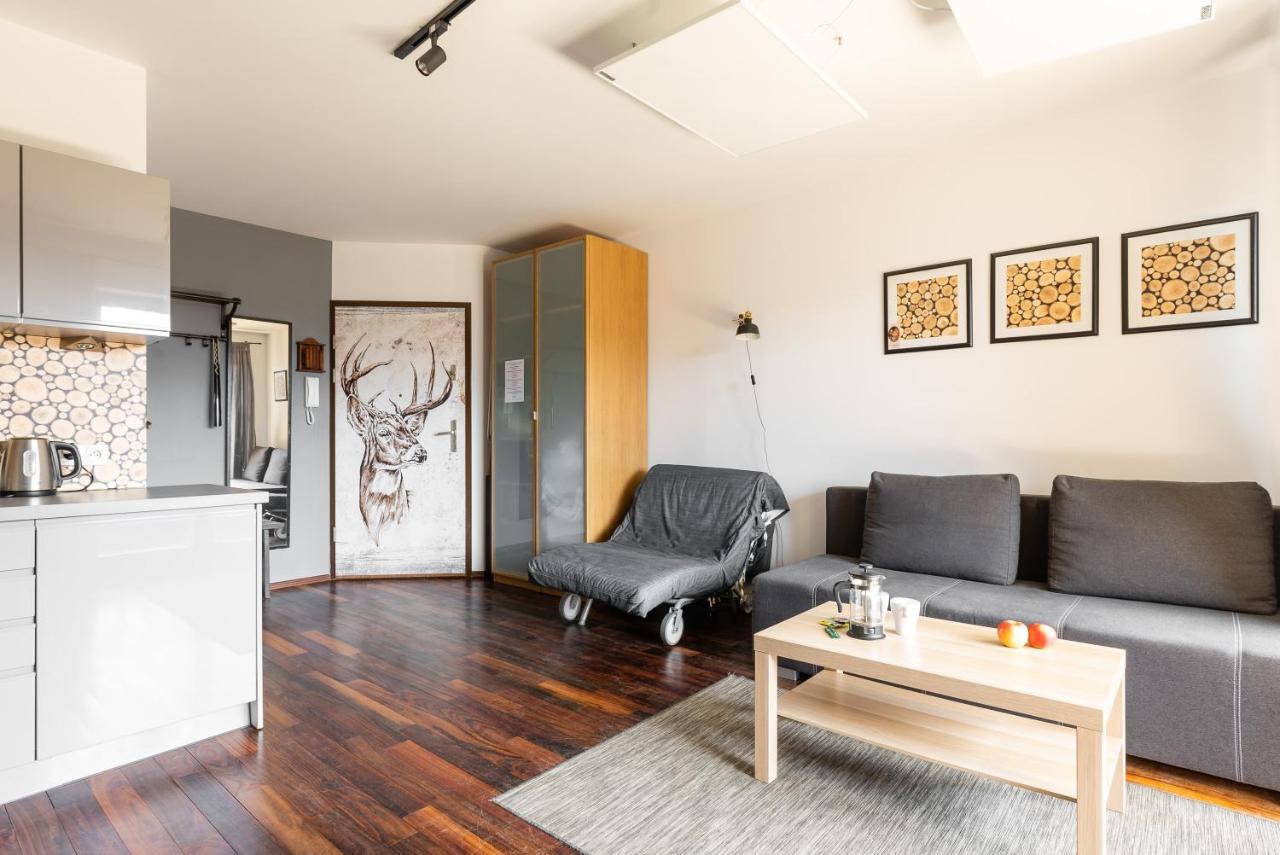 Apartamenty Kierpcowka ザコパネ エクステリア 写真